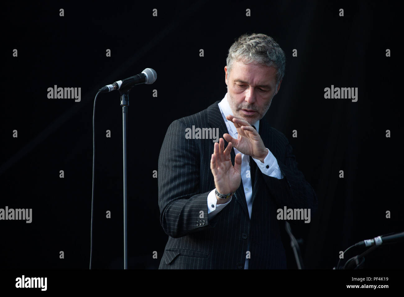 Glanusk Park, Brecon, Wales, 18th August 2018.  Day Two of the Green Man music festival in the Brecon Beacons Mountains in Wales. Pictured: Baxter Dury plays the main Mountain Stage. Credit: Rob Watkins/Alamy Live News Stock Photo
