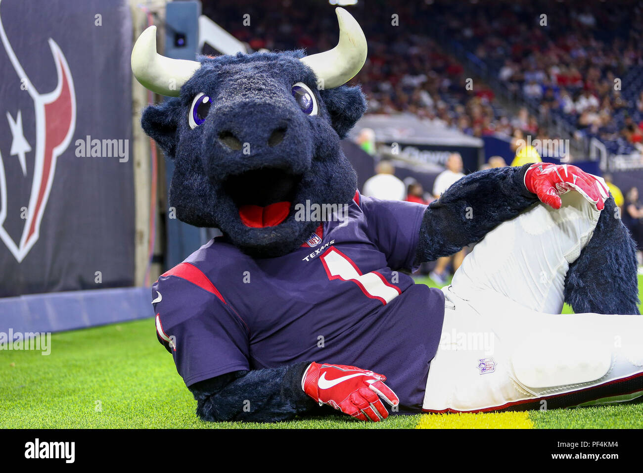 Texans toro best sale hat