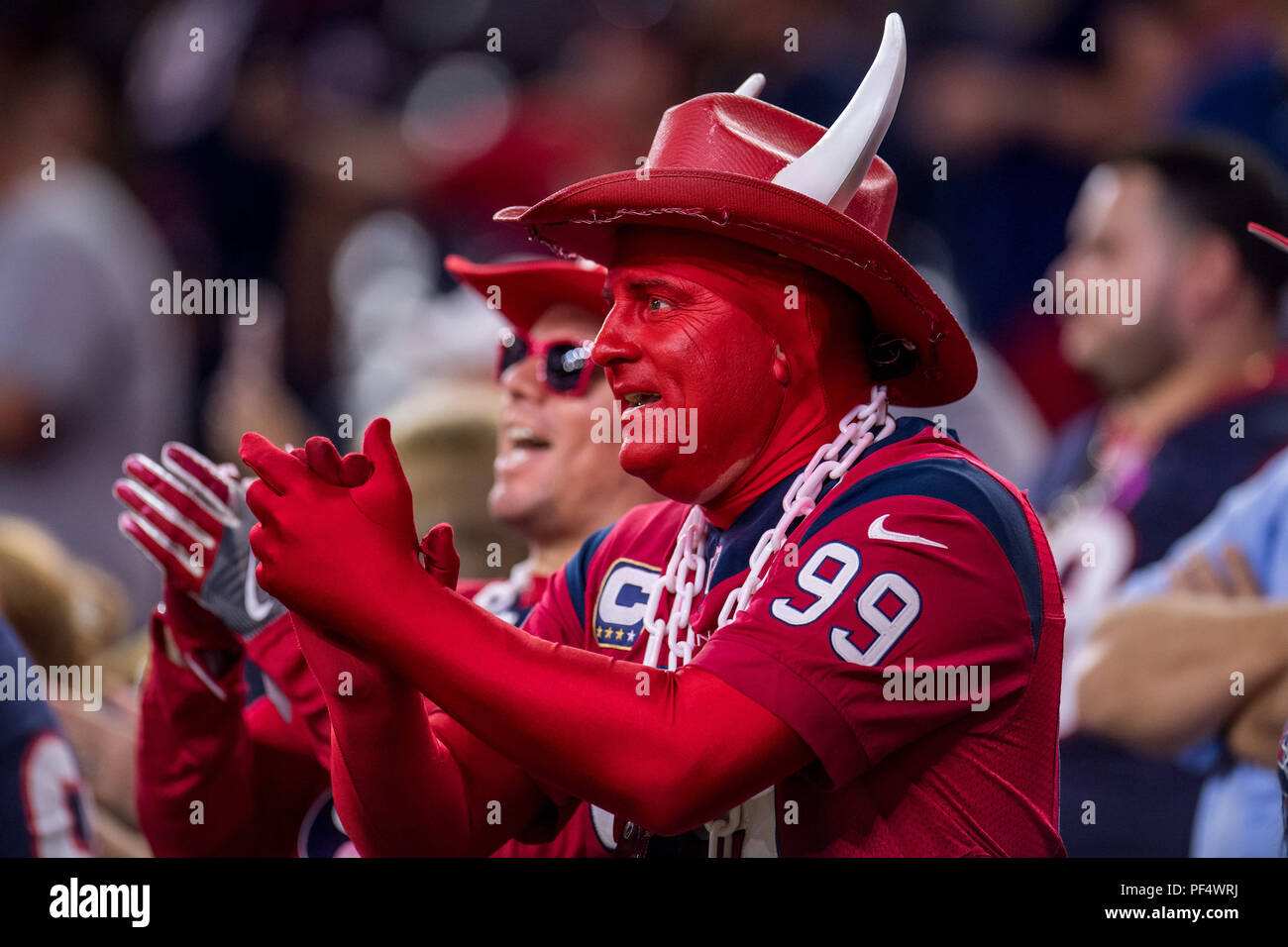 texans toro hat