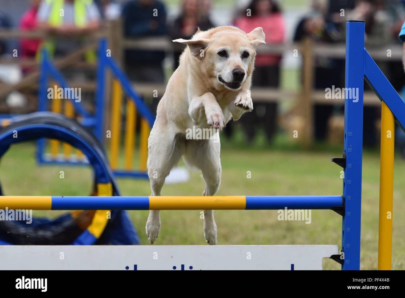 Buckham fair hires stock photography and images Alamy