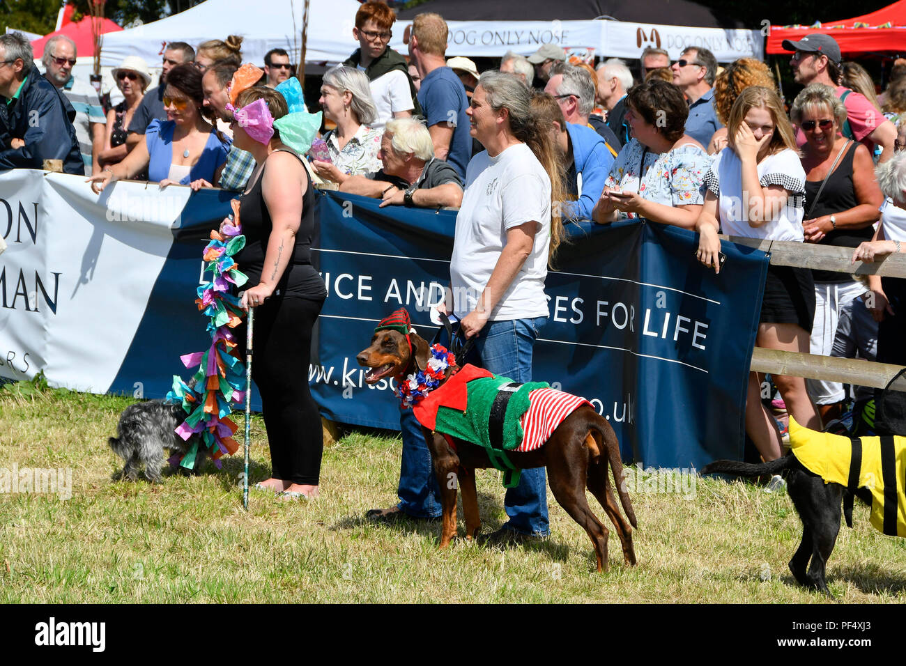 Dog fancy dress hires stock photography and images Alamy