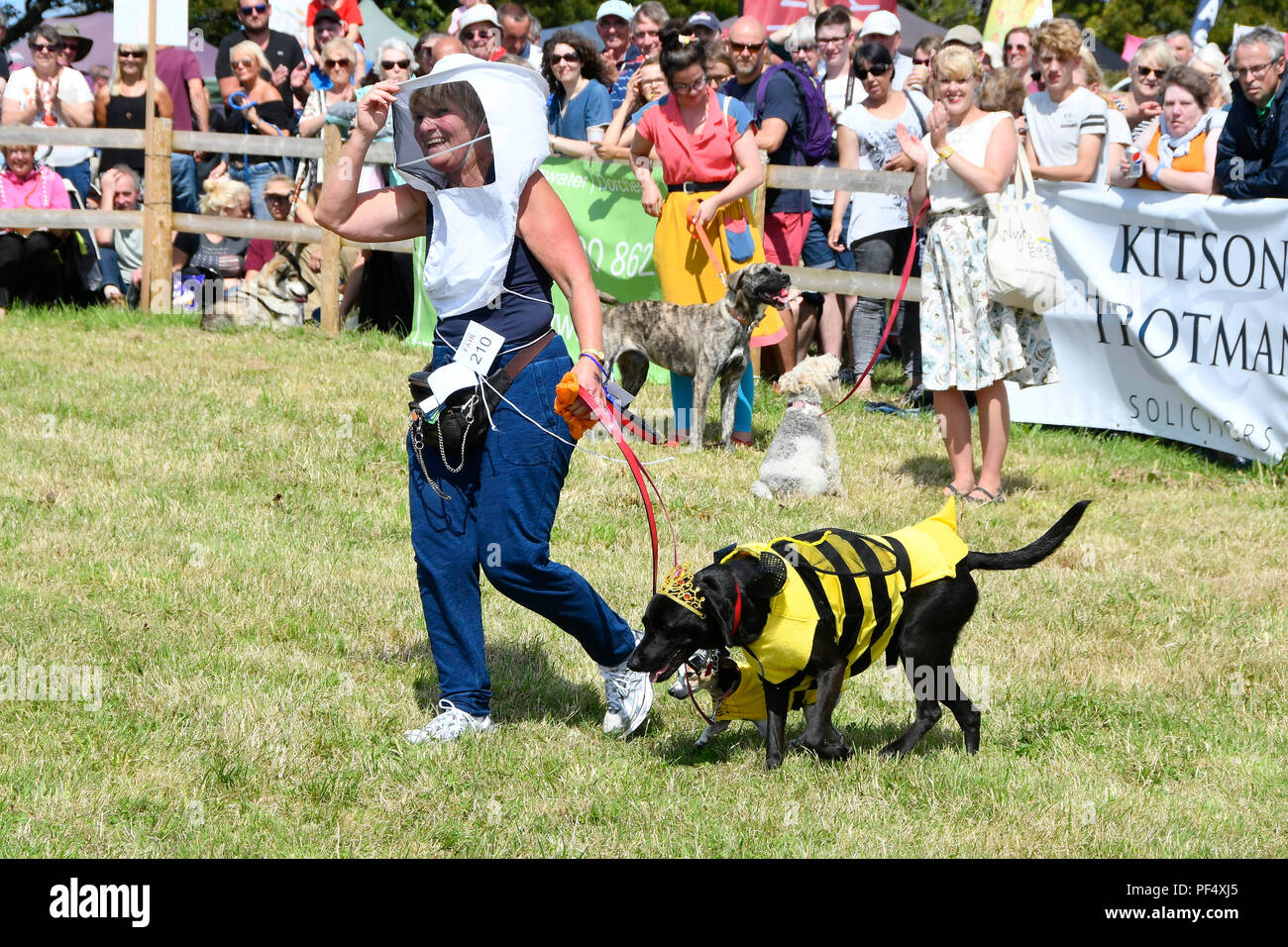Dog fancy dress hires stock photography and images Alamy
