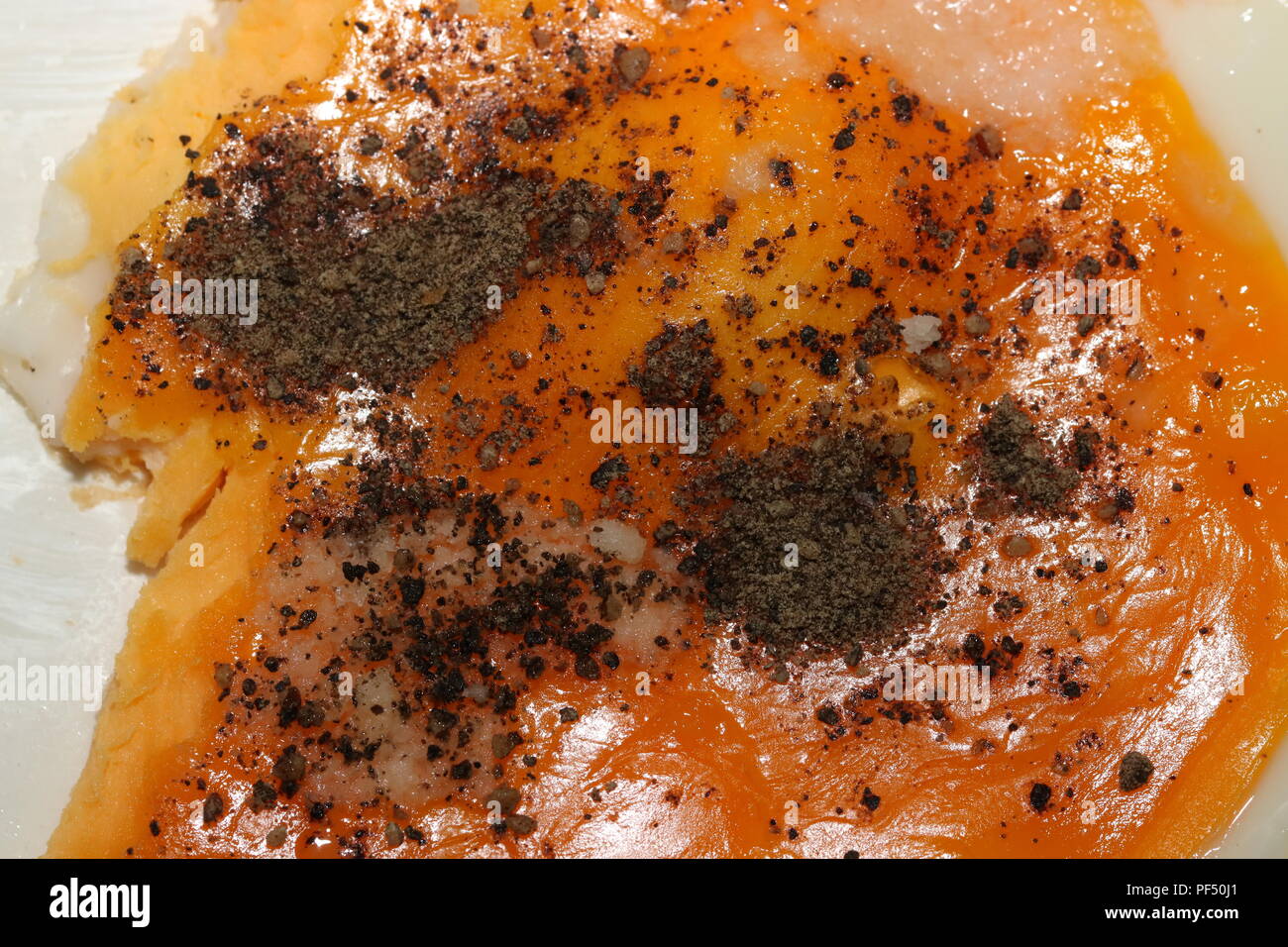 Egg with Pepper and Salt Stock Photo Alamy