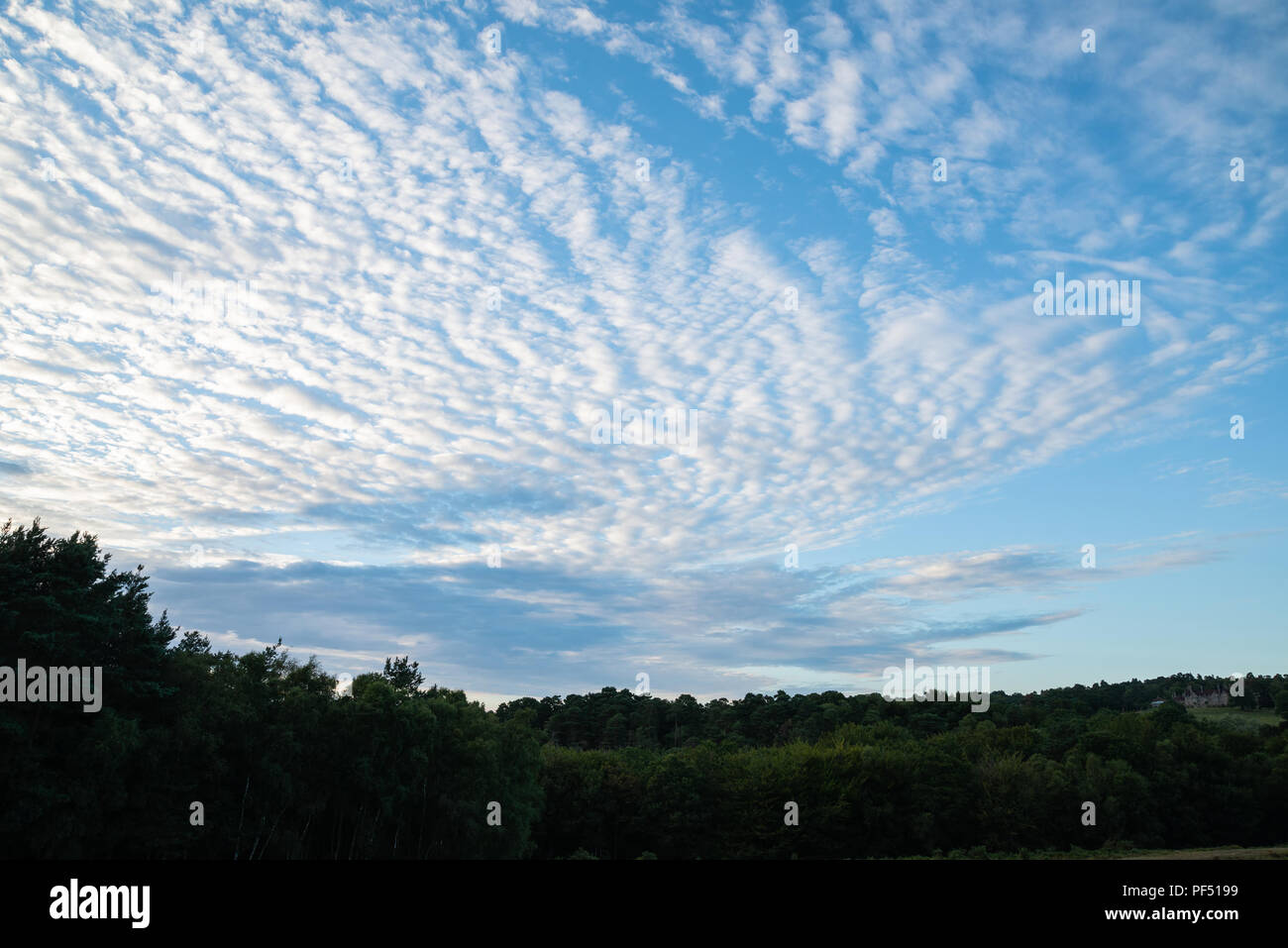 Stunning mackerel sky cirrocumulus altocumulus cloud formations in Summer sky landscape Stock Photo