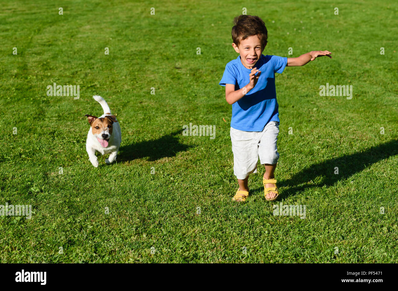 Kid playing with dog on green grass lawn dashing and racing Stock Photo