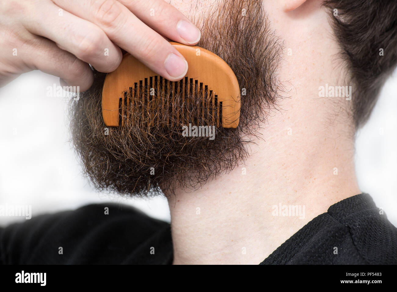 Closeup of a young man styling his long beard with a comb while standing alone in a studio against a white background Stock Photo