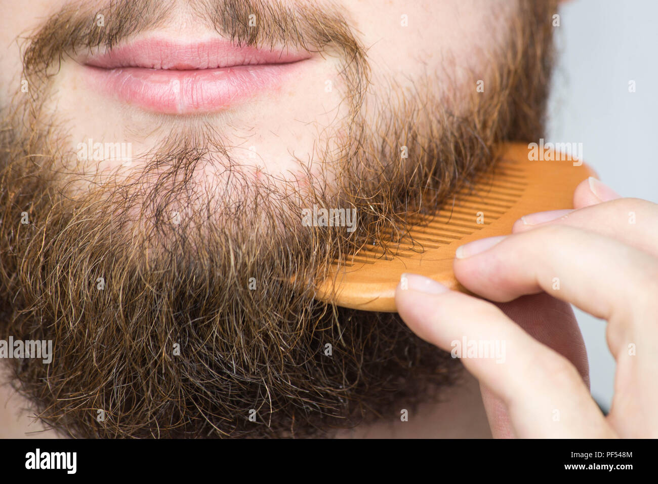 Closeup of a young man styling his long beard with a comb while standing alone in a studio against a white background Stock Photo