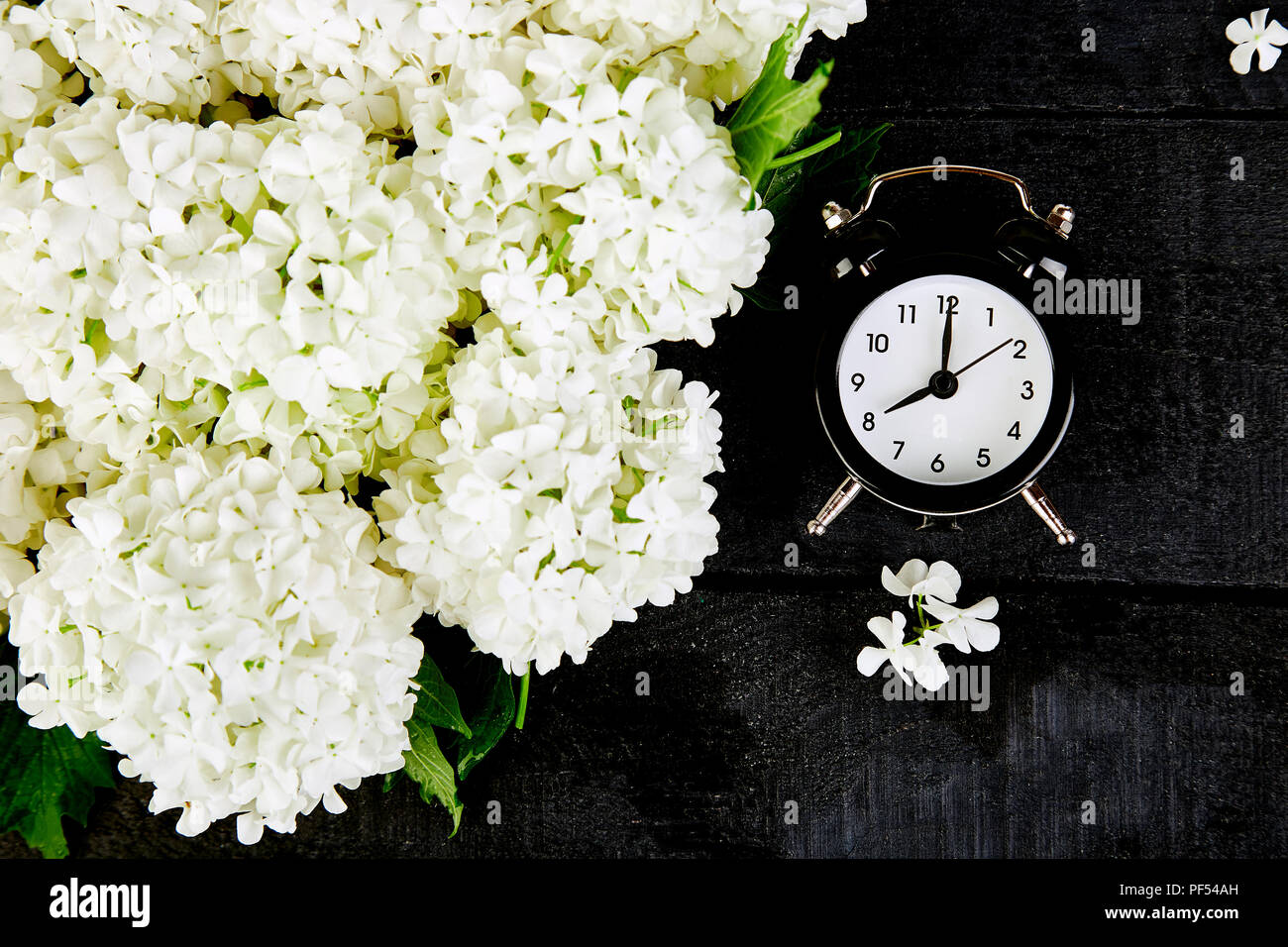 Black Alarm Clock And White Flowers On Black Background Mother Or