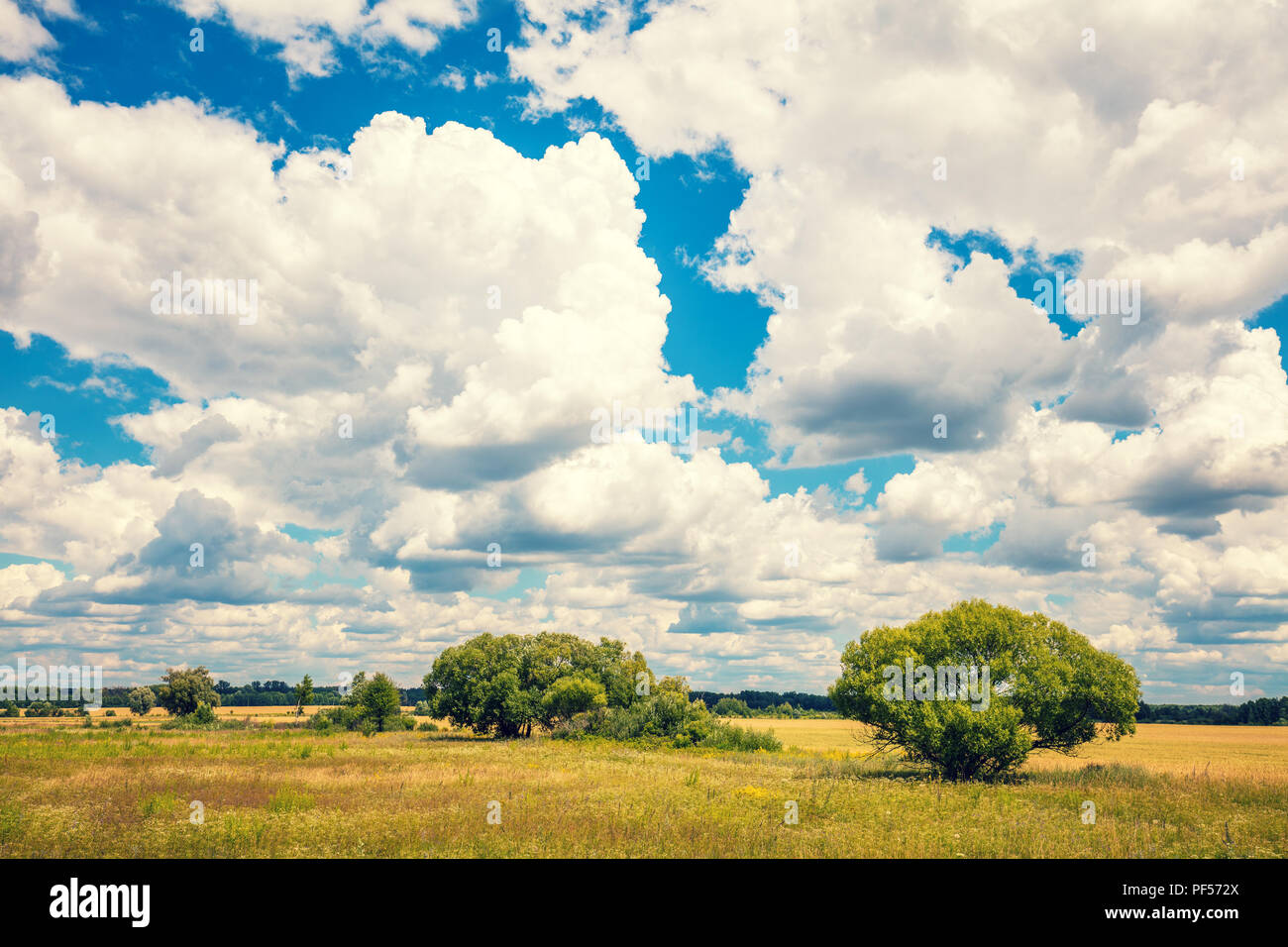 Countryside. Rural landscape. Field with blue sky and beautiful clouds ...