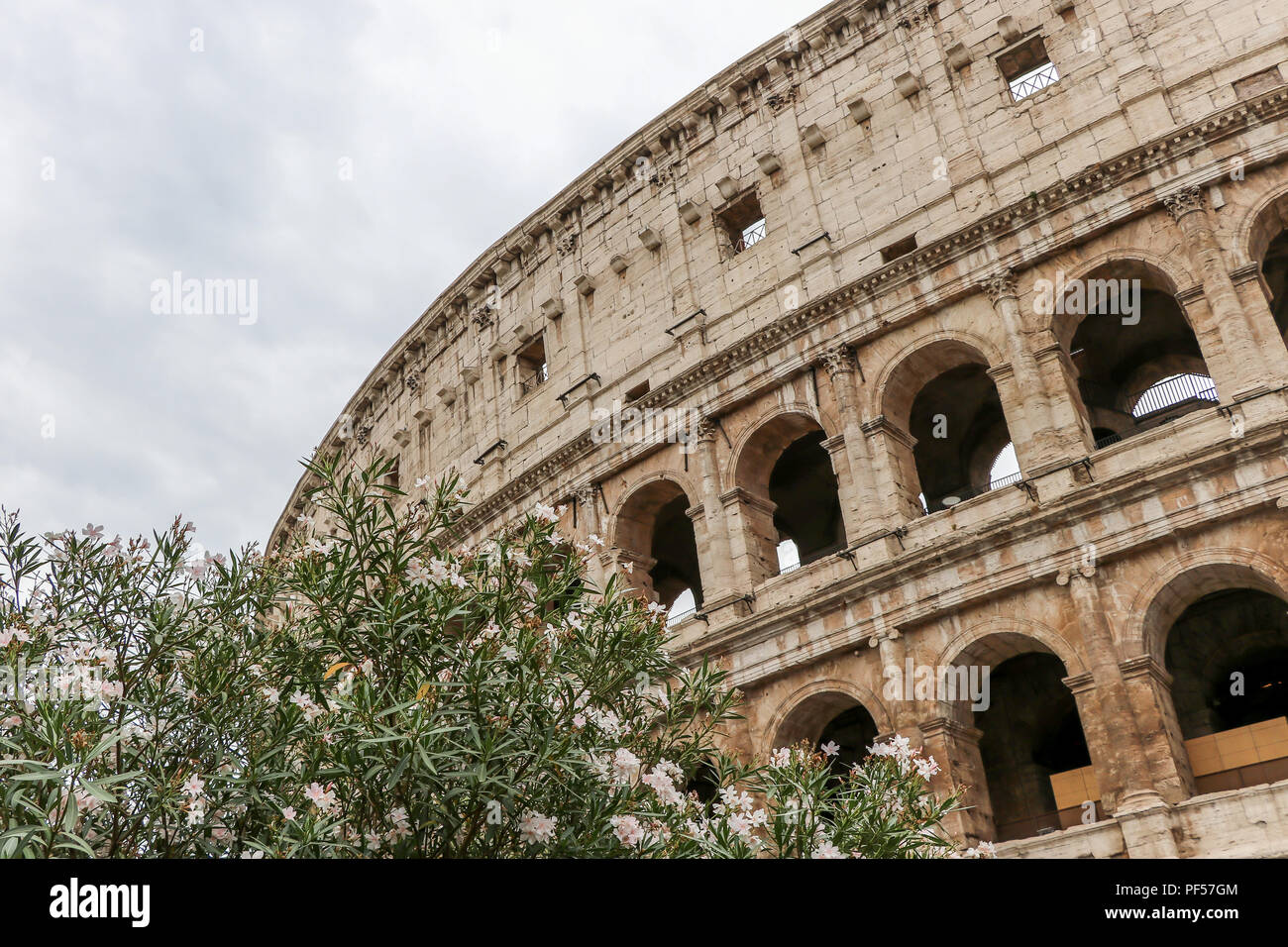 Flavian amphitheater rome hi-res stock photography and images - Alamy