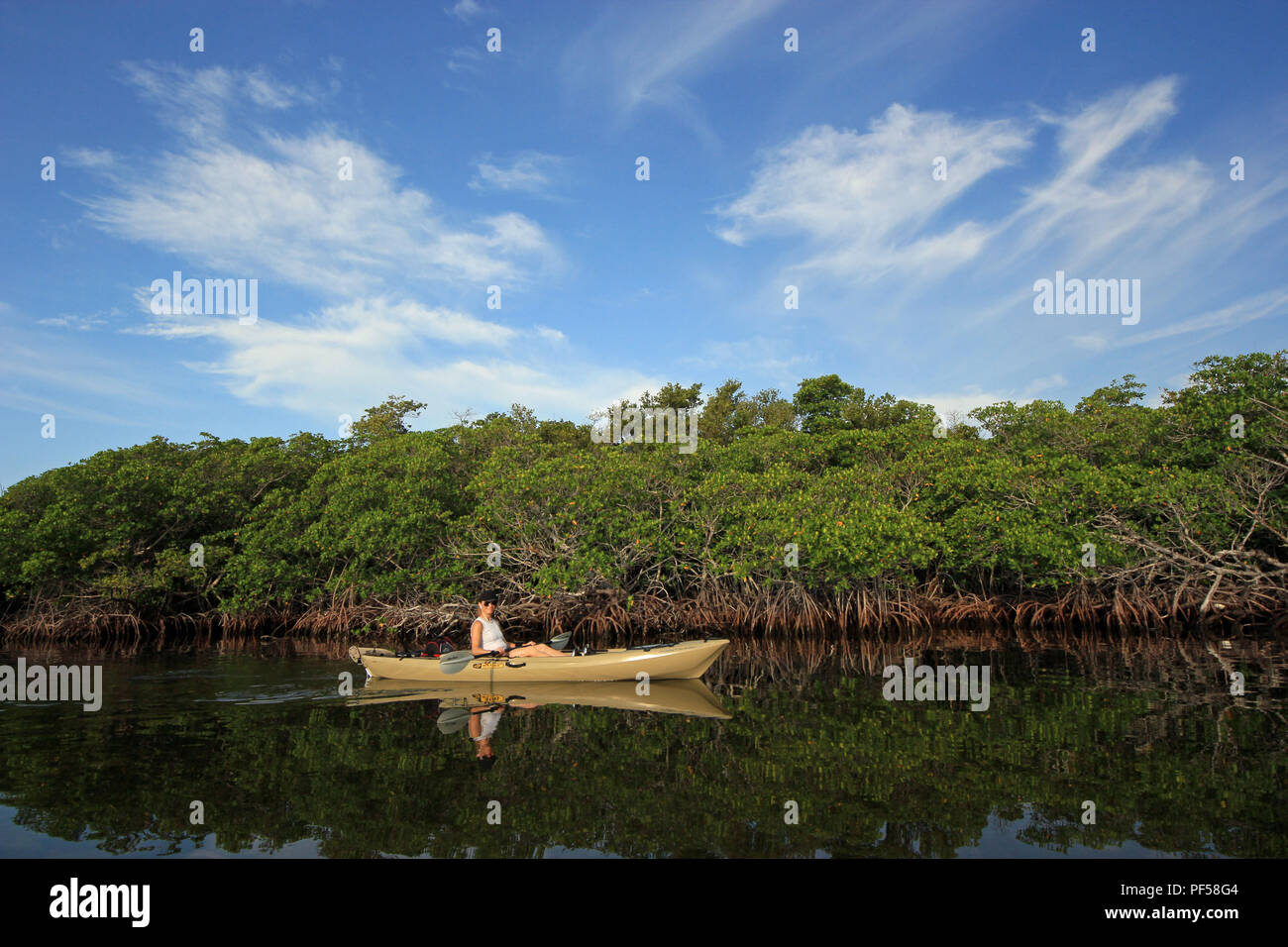 Woman kayaking on an exceptionally calm day with wonderful cloud ...