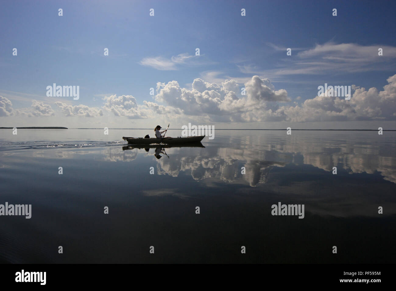 Woman kayaking on an exceptionally calm day with wonderful cloud reflections in Card Sound, Florida just west of Key Largo. Stock Photo