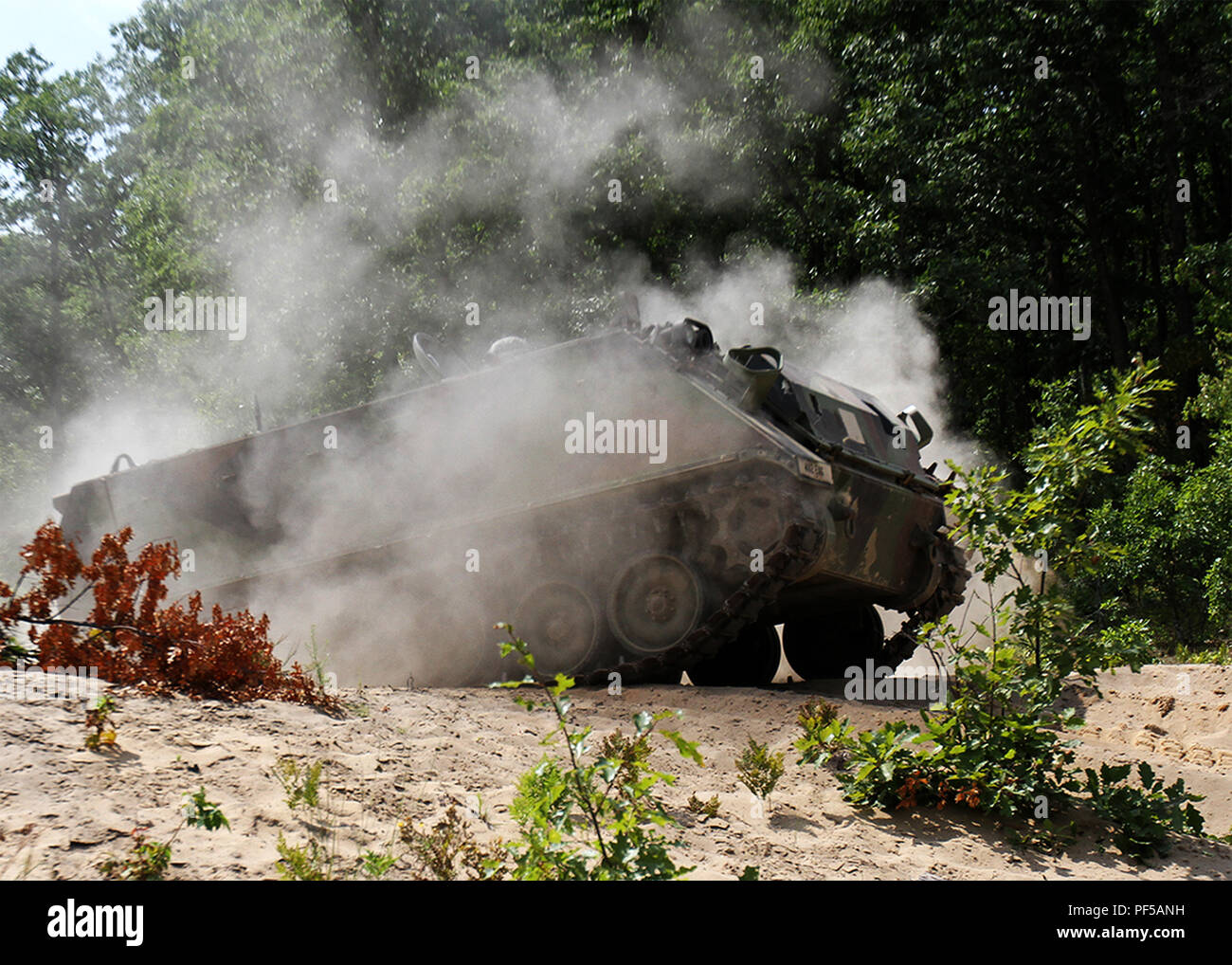 Soldiers with the 402nd Engineer Company, 389th Engineer, Battalion, 372nd Engineer Brigade, drive an M113 Armored Personnel Carrier into position to assault an enemy area during a training event at Camp Grayling, Mich., on Aug. 14, 2018. Soldiers from the 402nd are supporting Northern Strike, a joint multinational combined arms live fire exercise involving approximately 5,000 service members from 11 states and six coalition countries. (U.S. Army National Guard photo by Pfc. Jonathan Perdelwitz) Stock Photo