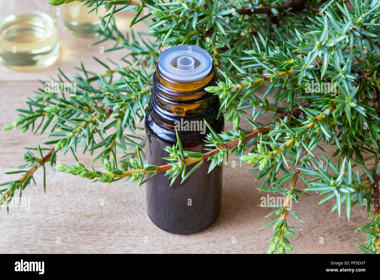 A bottle of essential oil with fresh juniper branches Stock Photo