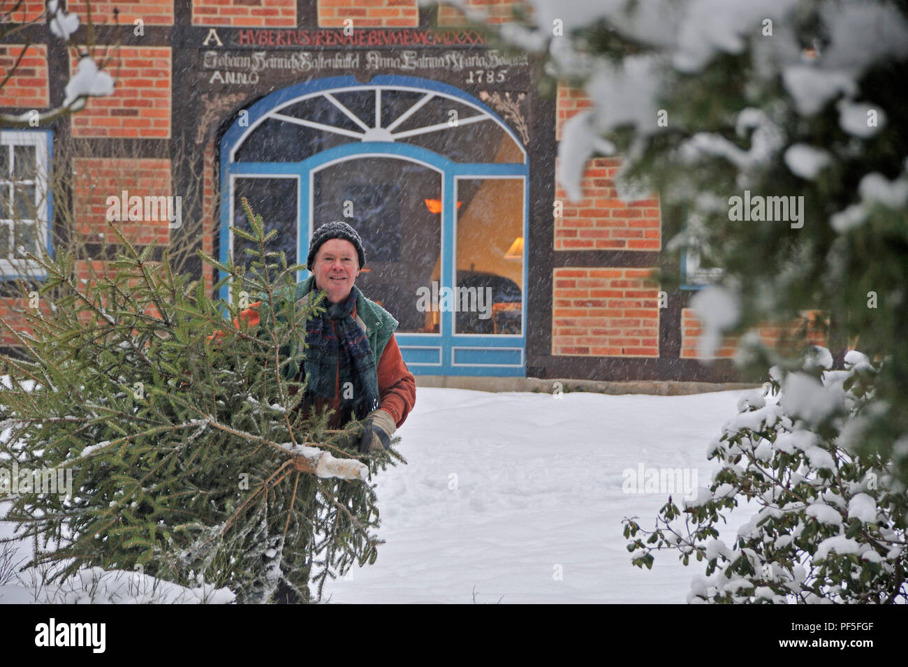 Mann trägt Weihnachtsbaum im Schnee | man carries Christmas tree home, walking through deep snow Stock Photo
