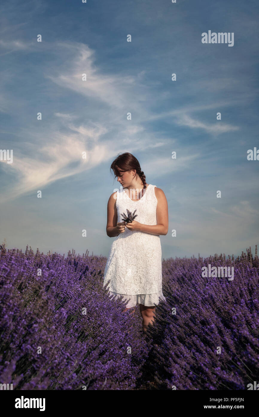 a girl in a white dress standing in a lavender field in Provence, France Stock Photo