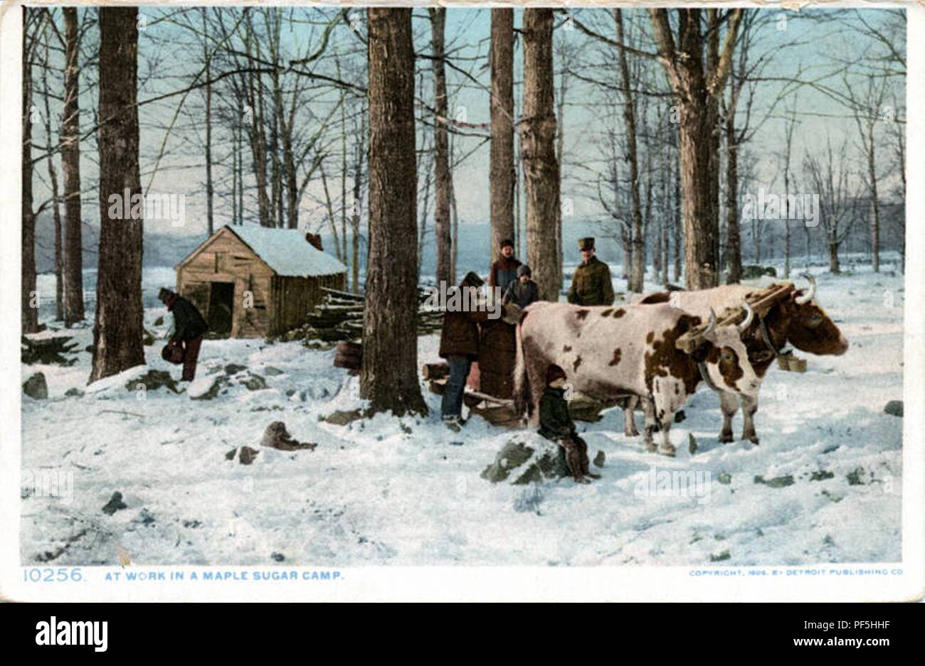 Maple sugar camp hires stock photography and images Alamy