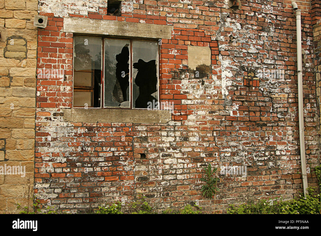 May 2007 Background texture old brick wall with window Stock Photo