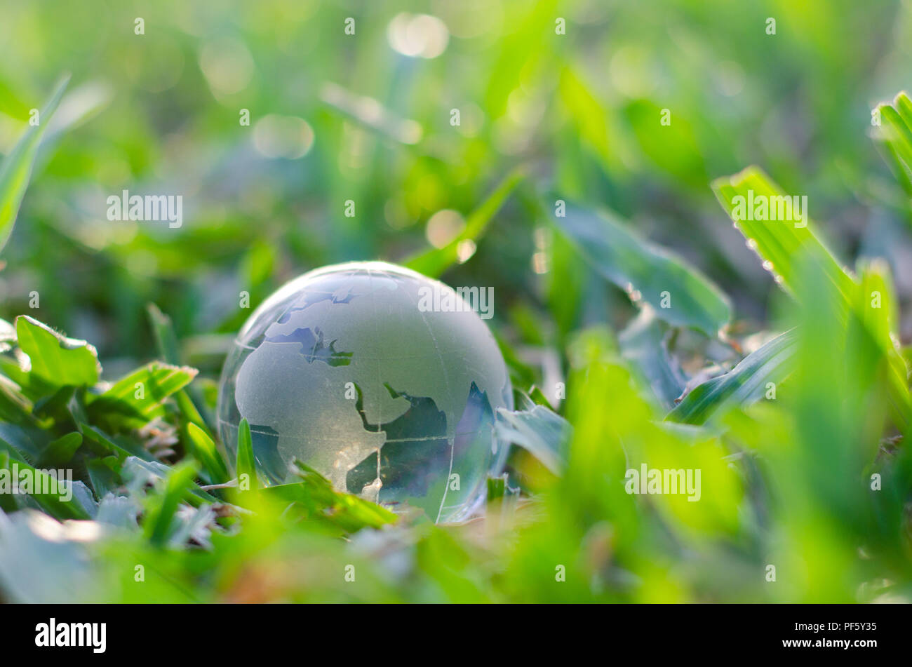 Concept Save the world save environment The world is in the grass of the green bokeh background Stock Photo