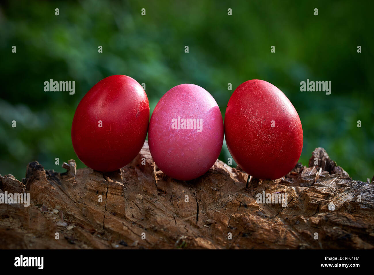 Three Easter Eggs Stock Photo