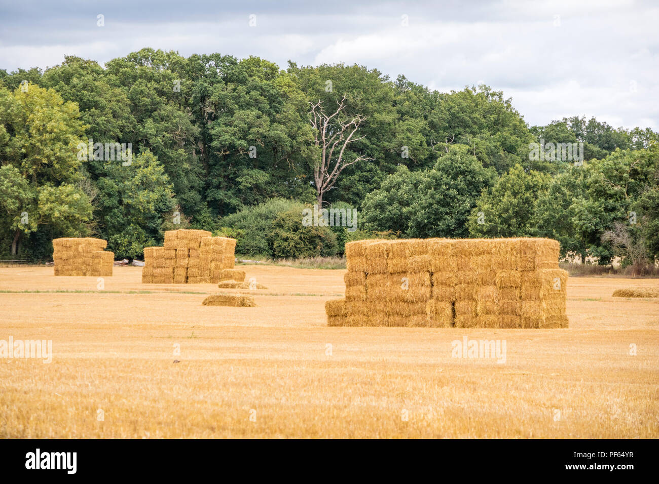Hay bails on a English farm, England, UK Stock Photo