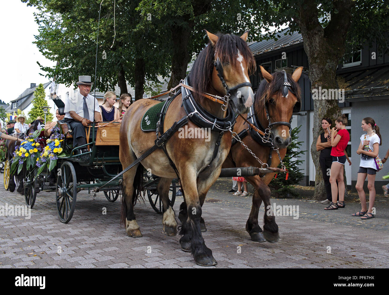 Usseln, Germany - July 30th, 2018 - Carriage drawn by two light brown horses at a parade Stock Photo