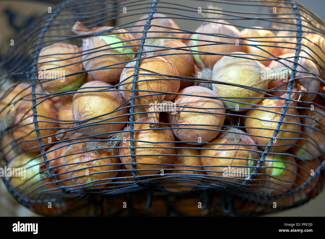 Garlic and onions hanging in the kitchen Stock Photo - Alamy
