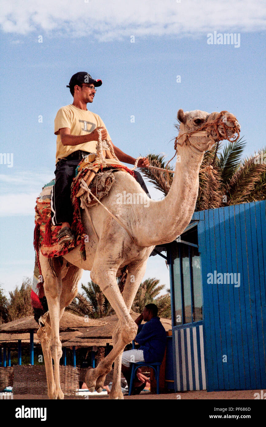 Hurgada, Egypt - October 22 2006: The man from Egypt on a camel ride on a nice summer day. In Egypt, camels are used as animals for transport Stock Photo - Alamy Hurgada, Egypt - October 22 2006: The man from Egypt on a camel ride on a nice summer day. In Egypt, camels are used as animals for transport Stock Photo - Alamy