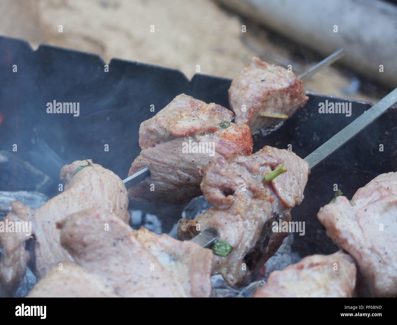 Marinated Barbecue Meat On Skewer Shish Stock Photo 1095659402