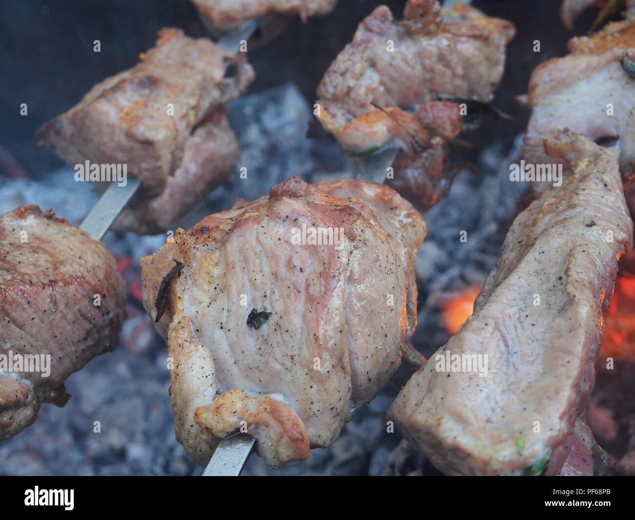 Marinated Barbecue Meat On Skewer Shish Stock Photo 1095659402