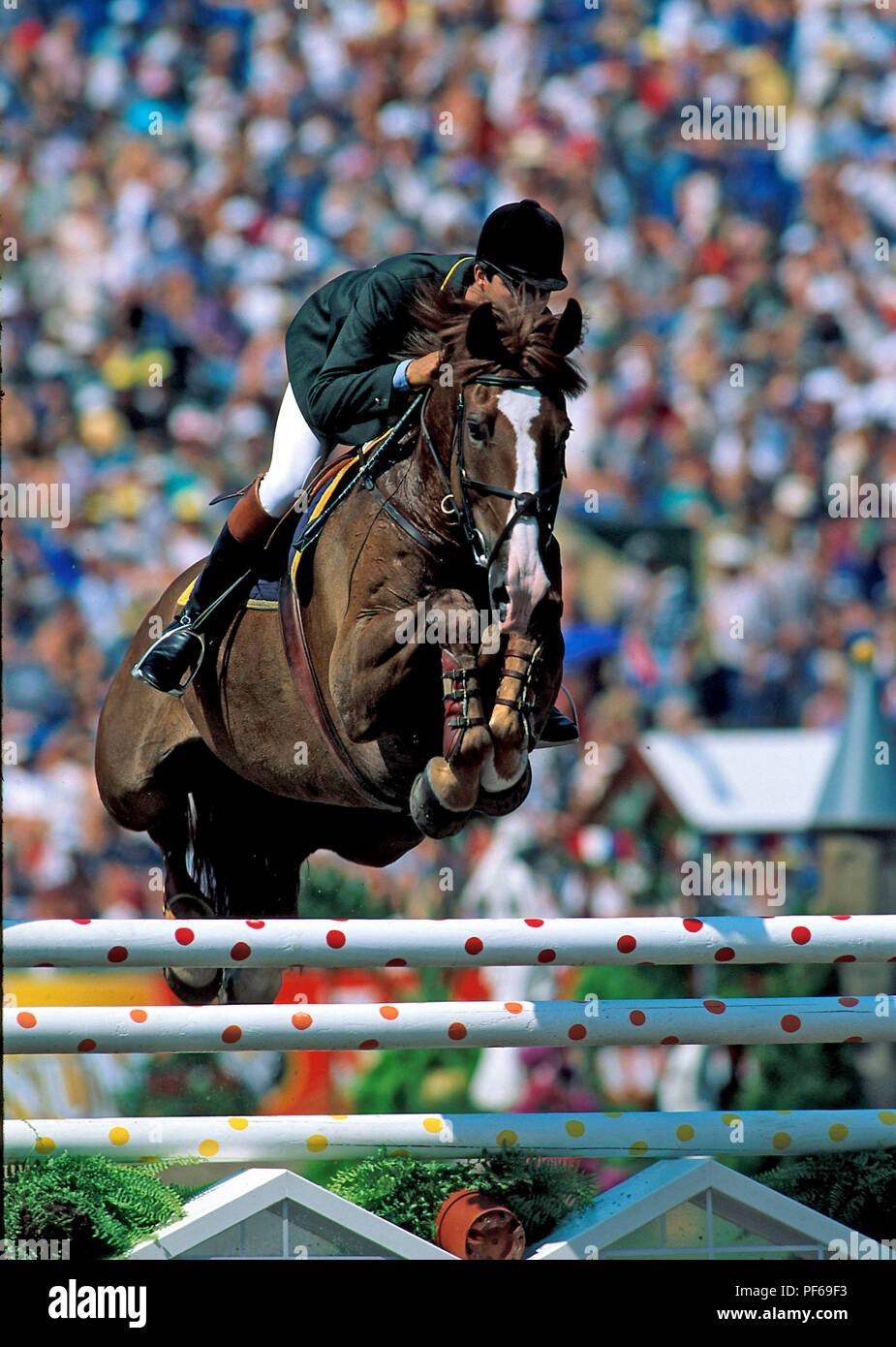 Pessoa Ridden World Equestrian Games, The Hague 1994, Rodrigo Pessoa (BRA) riding ...