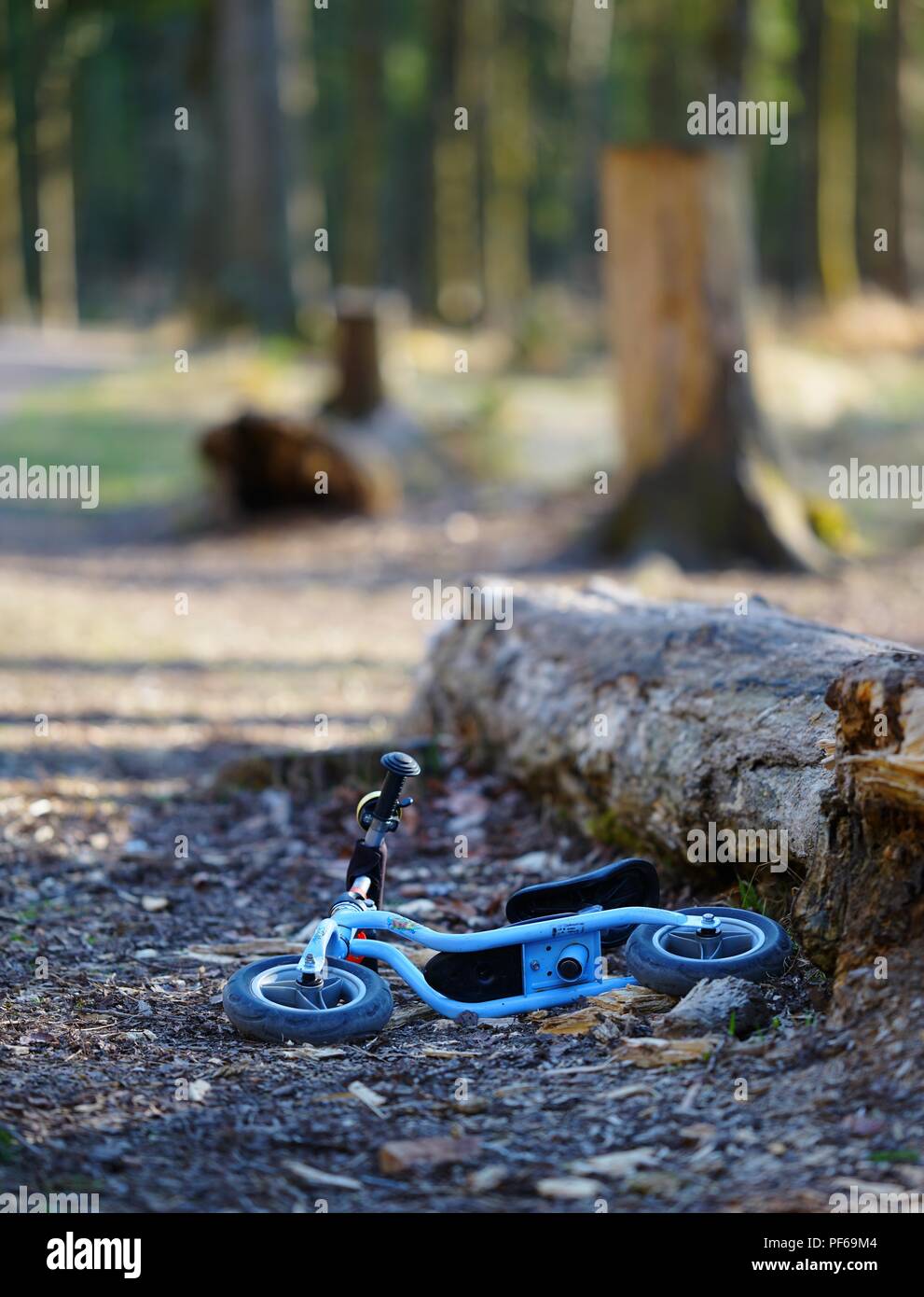 Abandoned scooter in the woods, child toy, blue Stock Photo