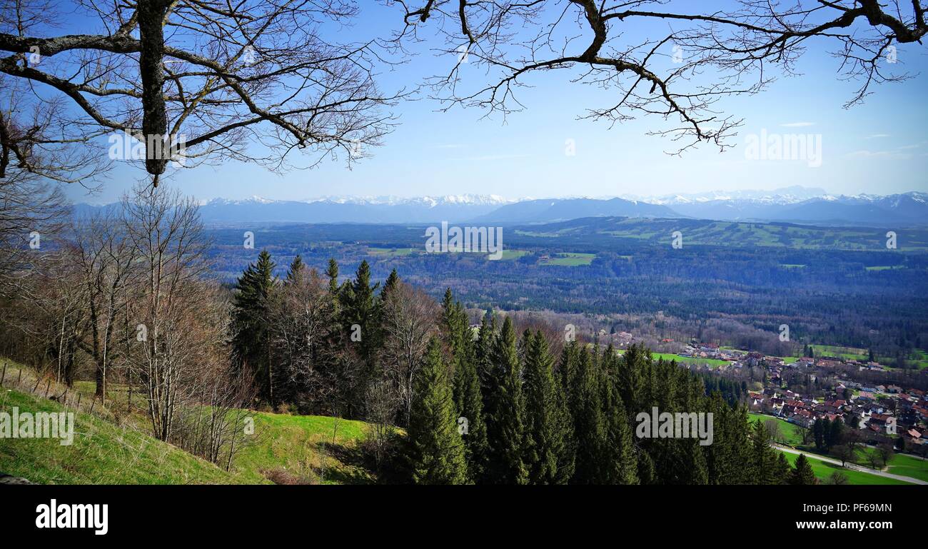 Alps and alpine upland view from Hohenpeissenberg, Bavaria, Germany. Forest and tree branches in the foreground. Stock Photo