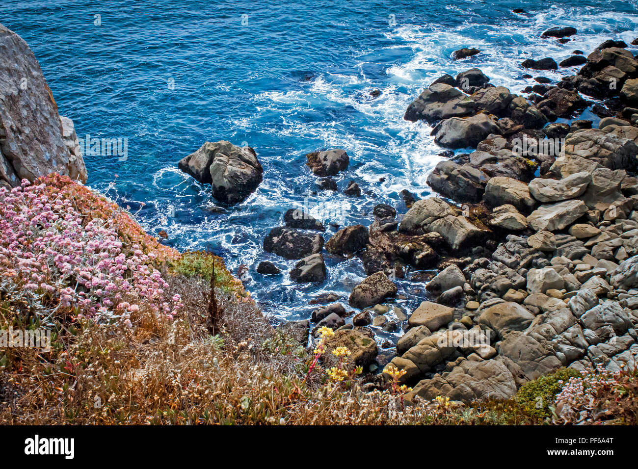 Escape to Fort Ross: A California Coastal Adventure