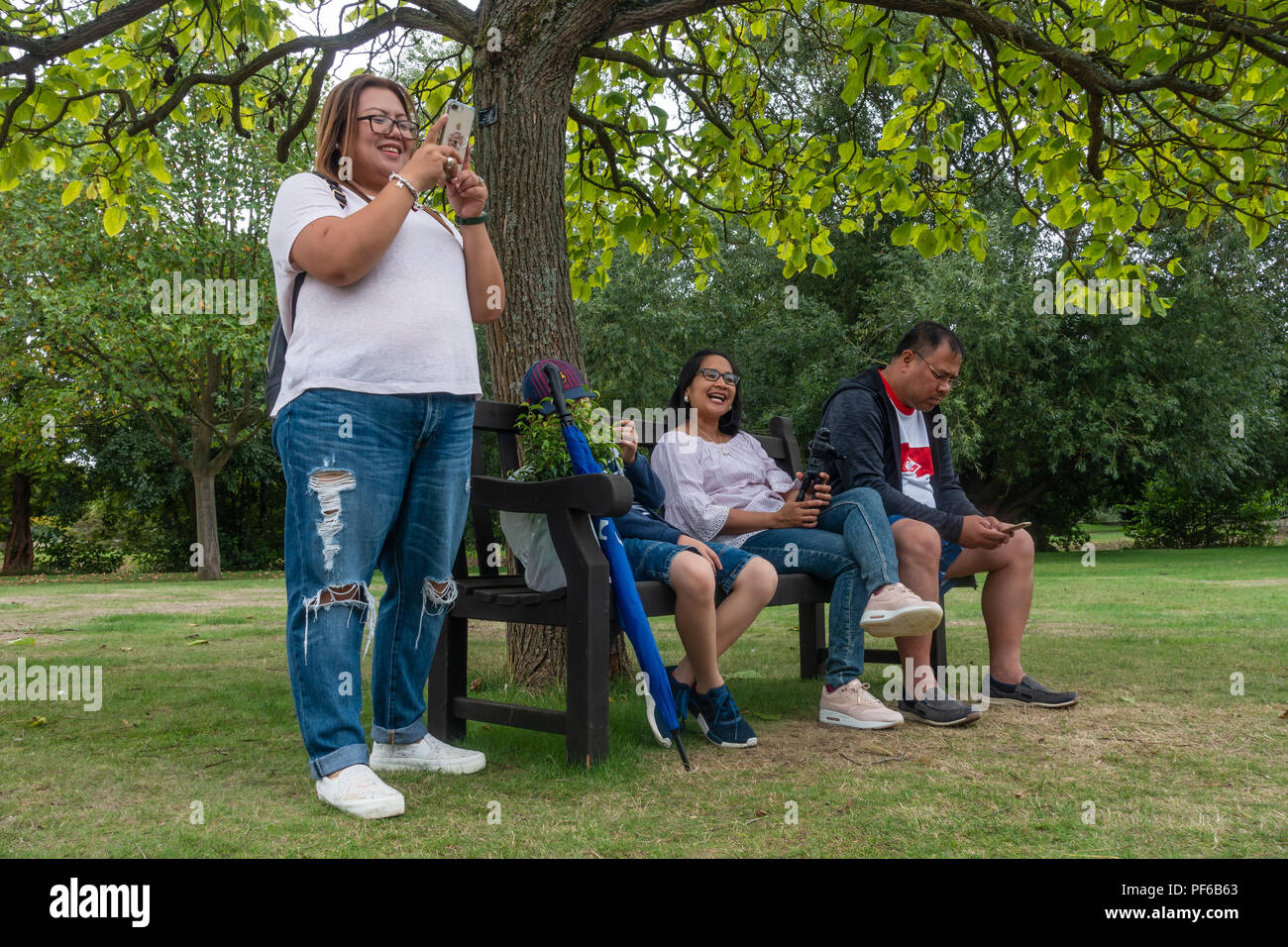 Friends sit together on a bench under a tree in a park. Stock Photo