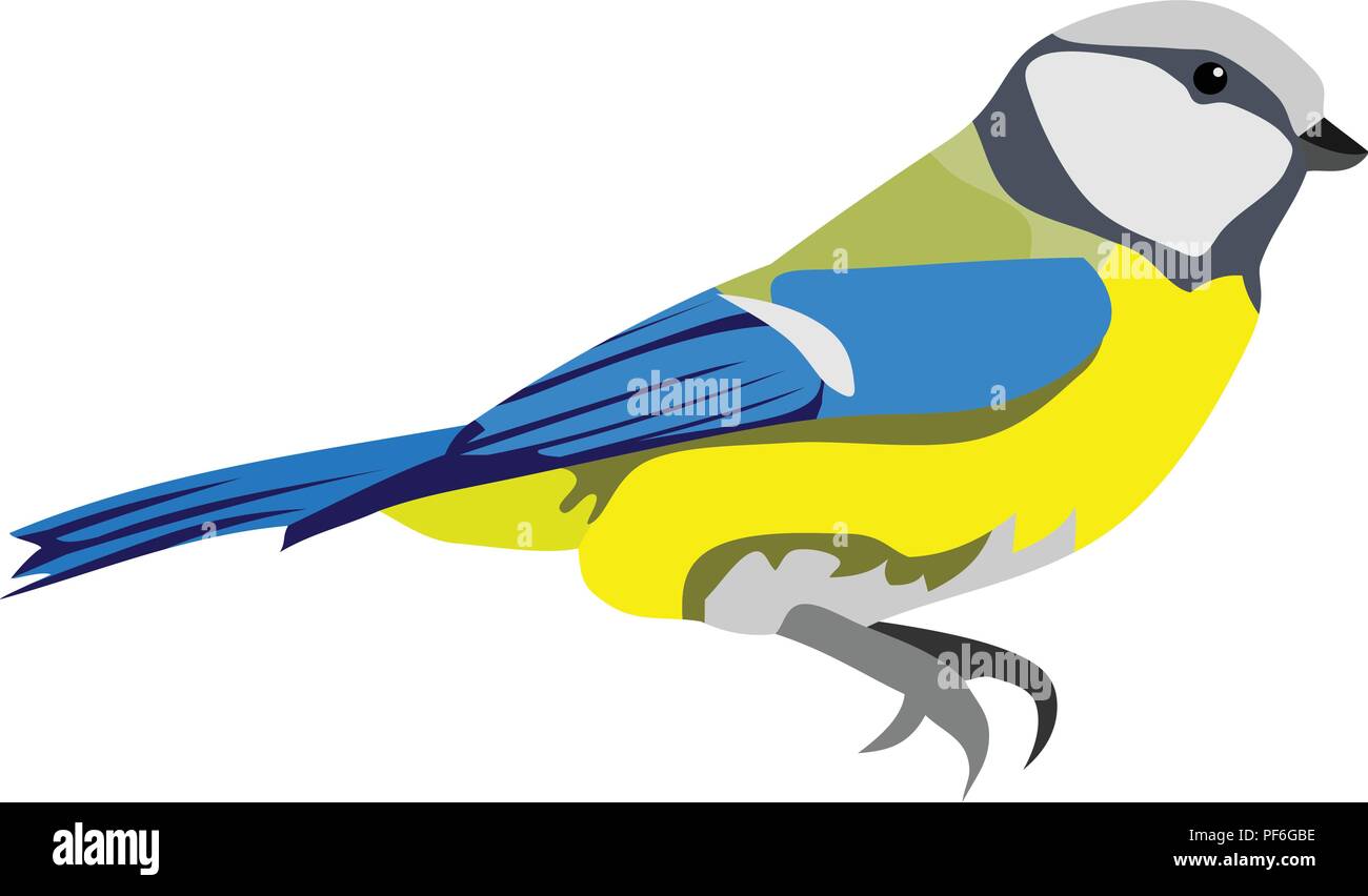 Blue Yellow Bird Animal Vector Stock Vector Image & Art Alamy