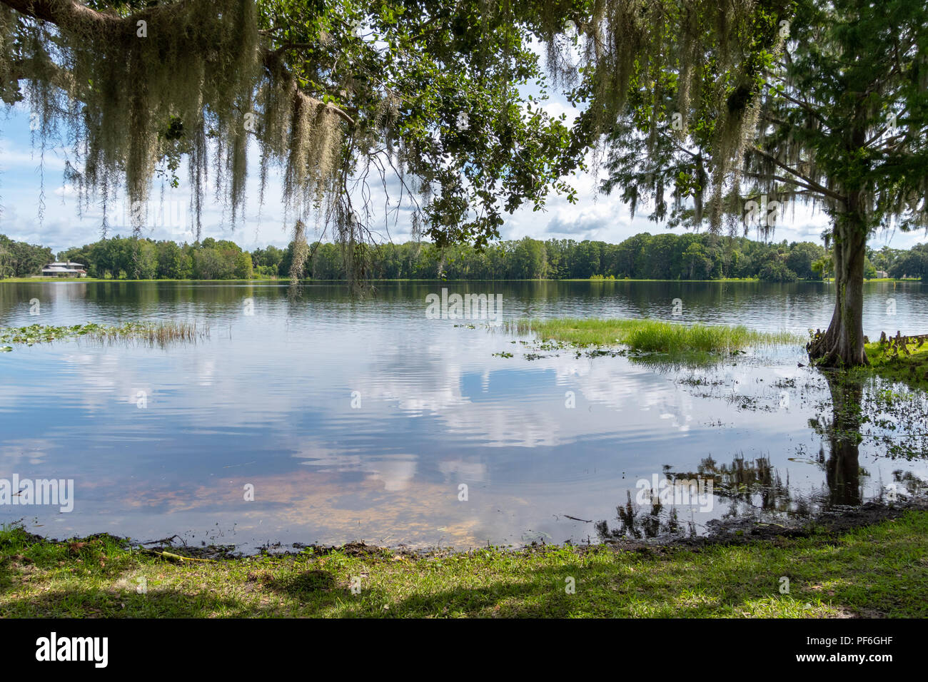 Wide shot of the shoreline of Henderson Lake in Inverness, Florida