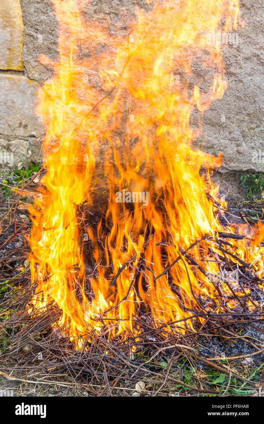 Burning garden rubbish on bonfire. Stock Photo