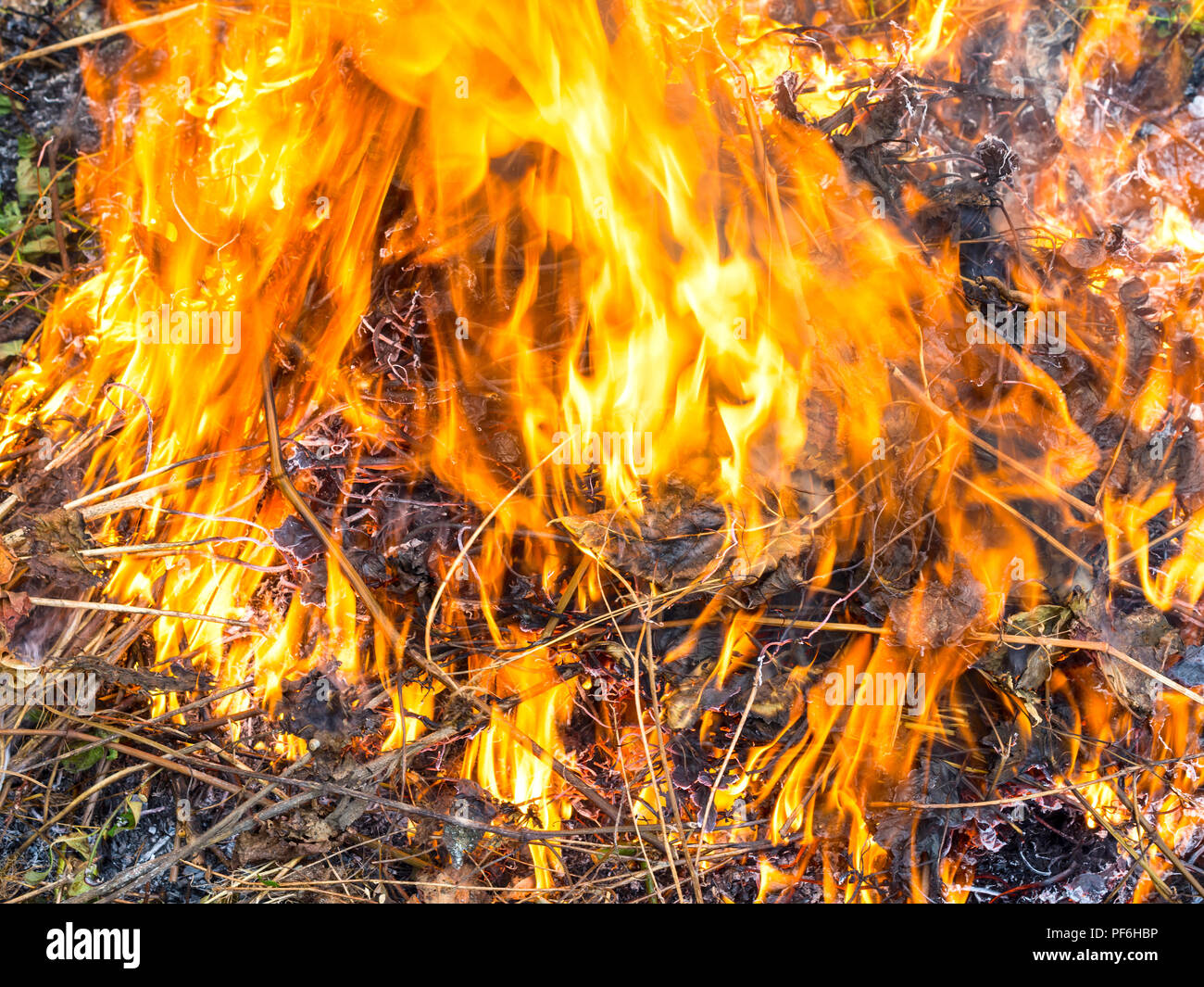 Burning Rubbish Garden High Resolution Stock Photography and Images Alamy