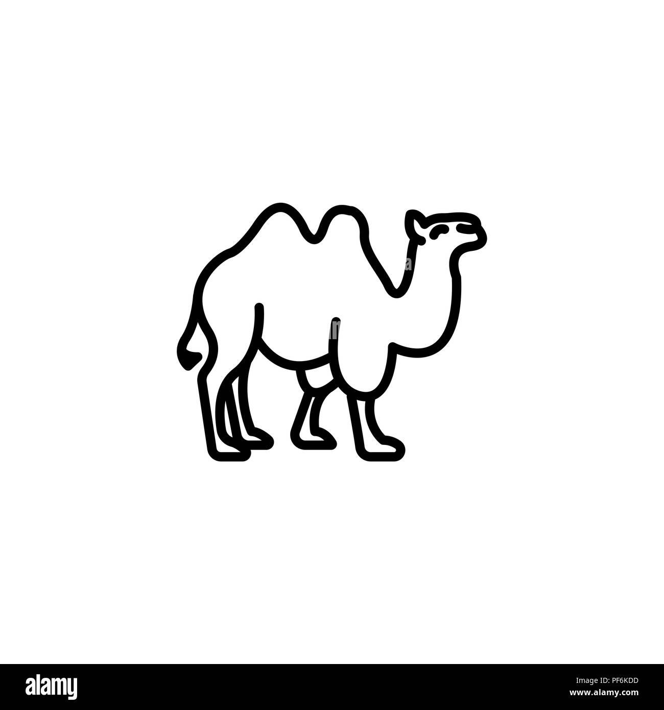 Web Line Icon Camel Wild Animals Black On White Background Stock