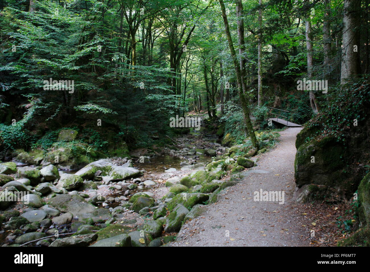 Wasserfall Geroldsau, BadenBaden im Schwarzwald Stock Photo Alamy