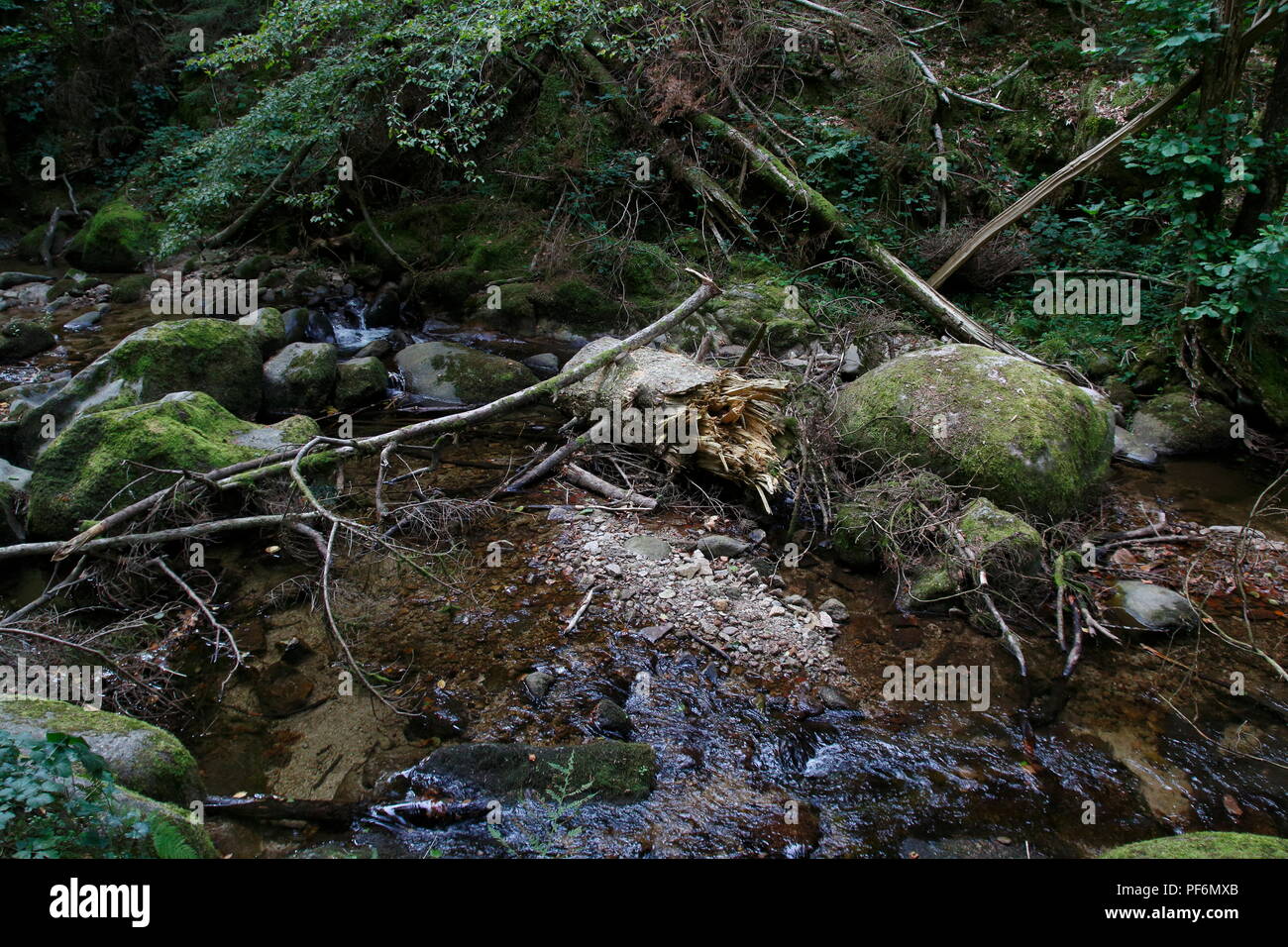 Wasserfall Geroldsau, Baden-Baden im Schwarzwald Stock Photo