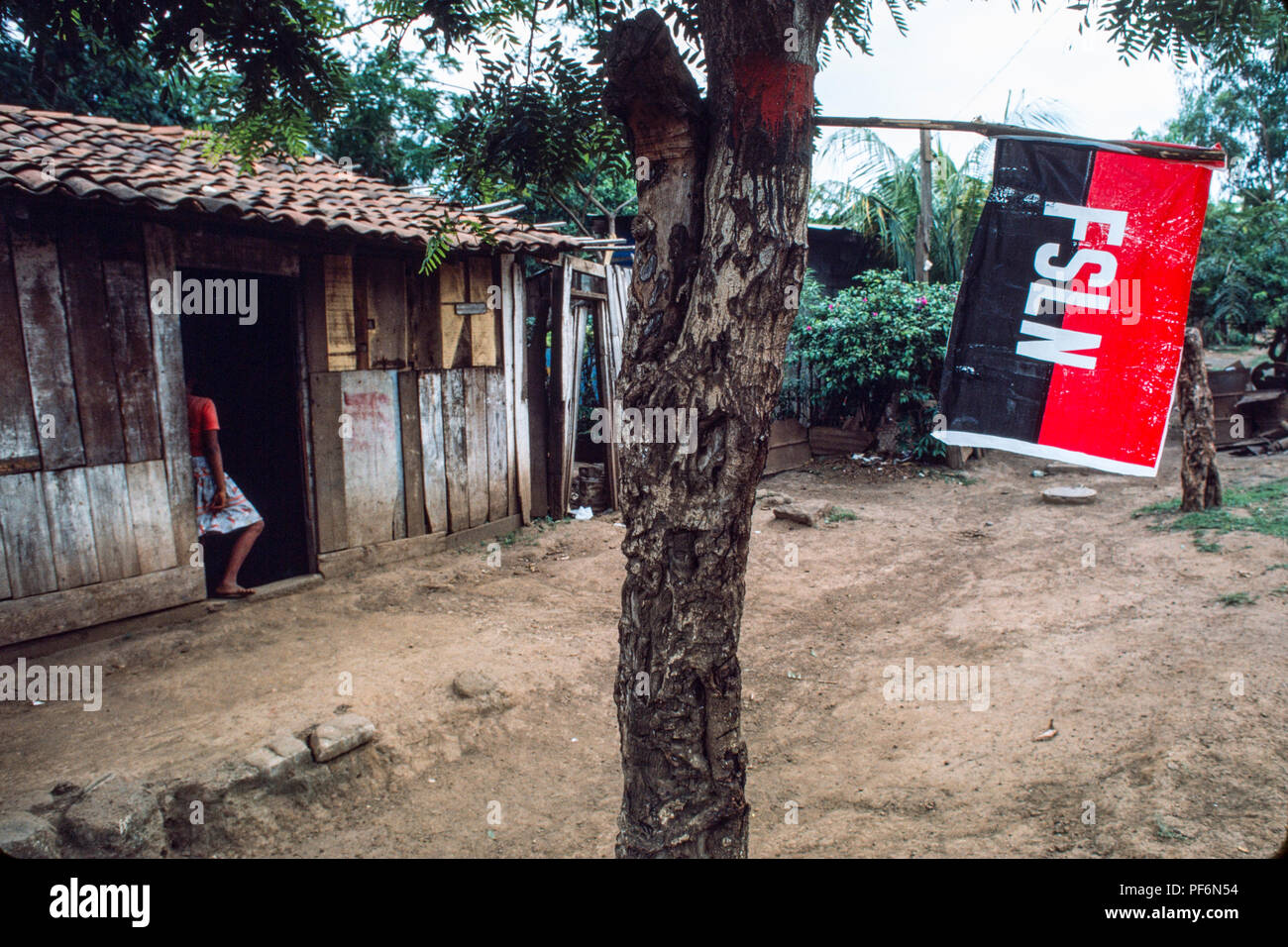 Managua, Nicaragua, elections, June 1986; An FSLN flag hangs from a tree in the poor neighbourhood of Ciudad Sandino. Stock Photo