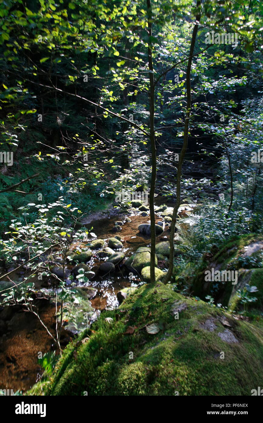 Wasserfall Geroldsau, BadenBaden im Schwarzwald Stock Photo Alamy