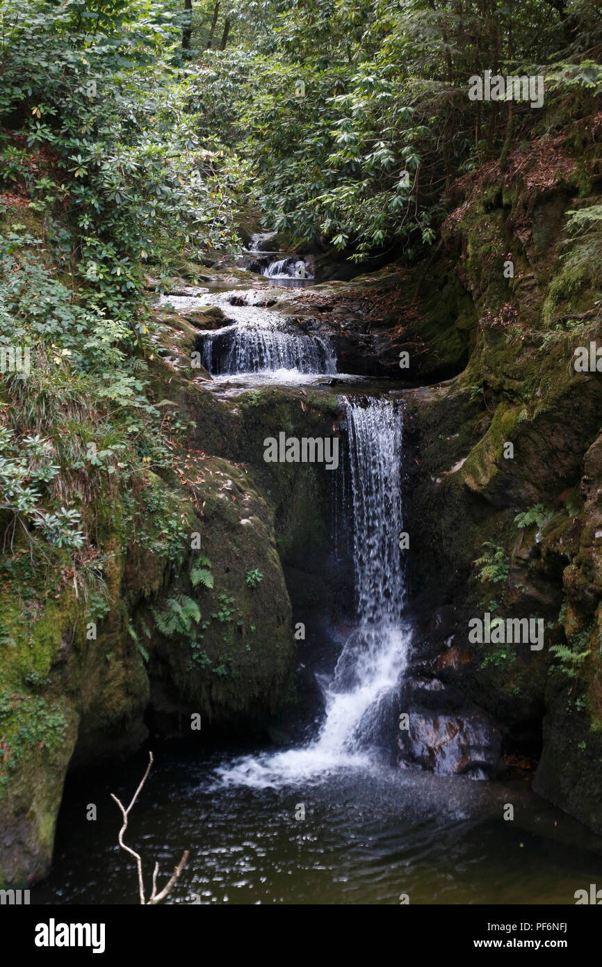 Wasserfall Geroldsau, Baden-Baden im Schwarzwald Stock Photo