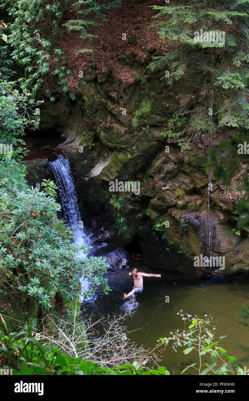 Wasserfall Geroldsau, Baden-Baden im Schwarzwald Stock Photo