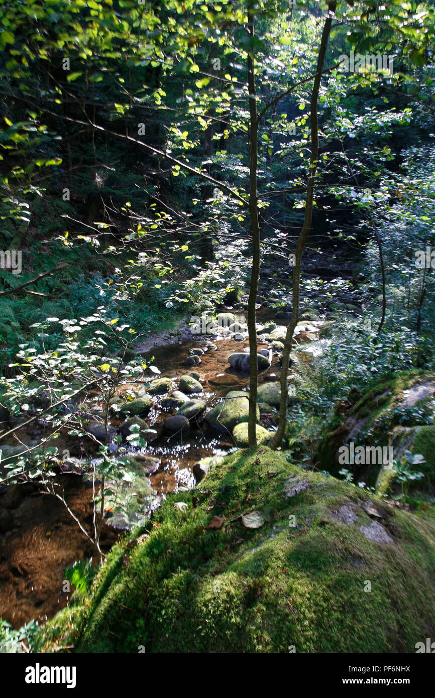 Wasserfall Geroldsau, BadenBaden im Schwarzwald Stock Photo Alamy