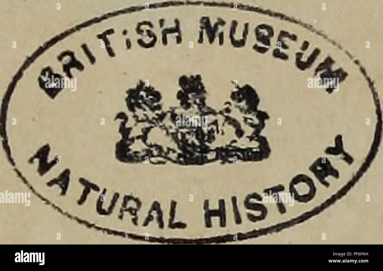 . Dictionnaire pittoresque d'histoire naturelle et des phénomènes de la nature. . Please note that these images are extracted from scanned page images that may have been digitally enhanced for readability - coloration and appearance of these illustrations may not perfectly resemble the original work.. Guérin-Méneville, F. -E. (Félix-Edouard). Paris Stock Photo