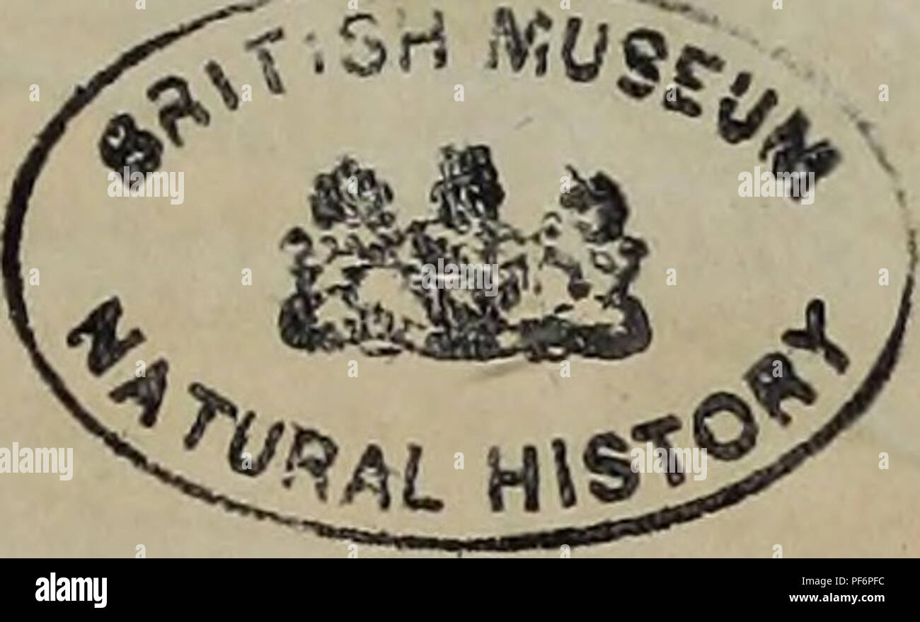 A detailed dictionary covering natural history, explaining various phenomena and their effects on the natural world, with illustrations for better understanding. Stock Photo