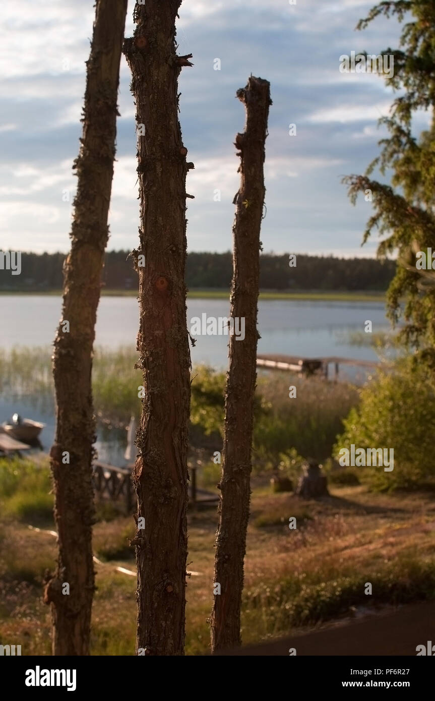 Summer sunset by the lake in Varmland Sweden three sticks Stock Photo